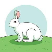 white rabbit vector illustration