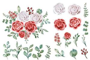 Set Of Rose Watercolor Isolated Flower Object vector