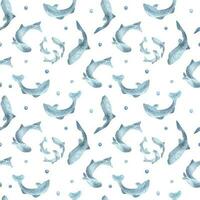 pescado siluetas salmón, trucha acuarela sin costura modelo aislado en blanco antecedentes. nadando salvaje azul pescado mano dibujado. diseño elemento para paquete, etiqueta, textil, envase, fondo, impresión vector
