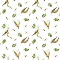 Wheat ear, hop watercolor seamless pattern isolated on white background. Spikelet of rye, humulus plant, hop cones hand drawn. Design element for brewing, wrapping, label, packaging, paper, textile vector