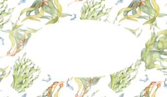 krans av färgrik hav växter vattenfärg illustration. laminaria, kelp, ört sjögräs hand ritade. design för märka, ram, inbjudan, förpackning, omslag, marin samling. png