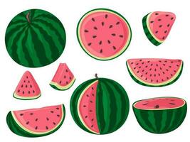 Set of watermelons, whole, half and slices. Green striped berry with red pulp and brown seeds vector