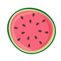 Slice of watermelon. Green striped berry with red pulp and brown seeds vector