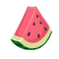 Slice of watermelon. Green striped berry with red pulp and brown seeds vector