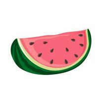 Slice of watermelon. Green striped berry with red pulp and brown seeds vector