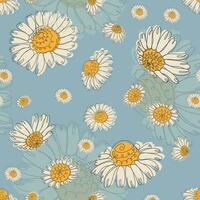 Seamless pattern of camomiles vector