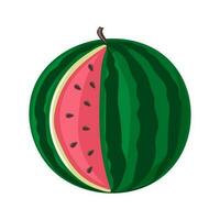 Watermelon. Green striped berry with red pulp and brown seeds vector