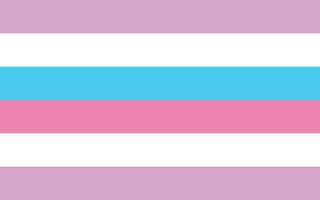 Bigender pride flag Sexual identity pride flag vector