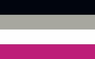 Asexual pride flag Sexual identity pride flag vector