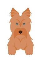 Cartoon puppy dogs breeds pets cute characters. Flat design of cute dogs and puppies vector illustration.