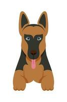 Cartoon puppy dogs breeds pets cute characters. Flat design of cute dogs and puppies vector illustration.