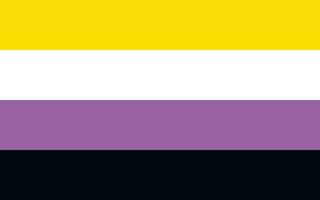 Non-binary pride flag Sexual identity pride flag vector