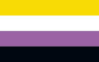 Non-binary pride flag Sexual identity pride flag vector