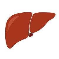 Liver icon in trendy flat style. Symbol for your web site design, logo, app, UI vector