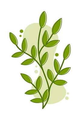 Aesthetic Floral Illustration. Simple flower outline design. Floral line art. Hand drawn flower outline. Botanical flower outline. Plant, flower silhouette. Wedding sketch. Vector illustration.