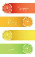 Banners with fresh fruits of Grapefruit, Orange, Lemon and Lime. vector