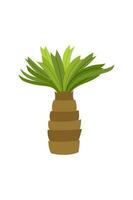 Palm trees are isolated on white background. Beautiful palm tree illustration. Coconut tree illustrations vector