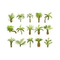 Palm trees are isolated on white background. Beautiful palm tree illustration. Coconut tree illustrations vector