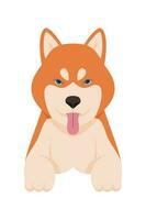 dibujos animados perrito perros razas mascotas linda caracteres. plano diseño de linda perros y cachorros vector ilustración.