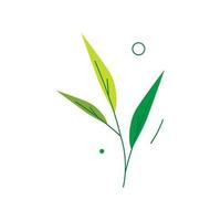 Nature Element Illustration Ornament vector