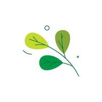 Nature Element Illustration Ornament vector