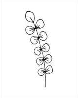 Graphic branch in doodling style.Minimal style blossom illustration design for logo, wedding, invitation, decor. vector