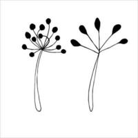 Hand drawn branches in the style of doodling.Botanical decorative element. Black line on a white isolated background. vector