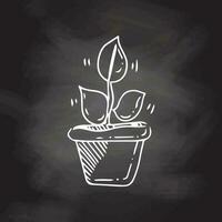 Plant  in pot  painted black line on a chalkboard  background.  Eco concept. Hand drawn vector outline doodle icon.