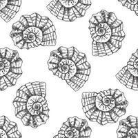 Hand drawn  prehistoric ammonite, seashell seamless pattern. Sketch style vector illustration isolated on white background.