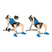 Man doing Seated alternating incline bench dumbbell curls exercise. vector