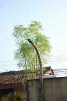 Bandung - May 2023 street lighting that is crossed by many power lines photo