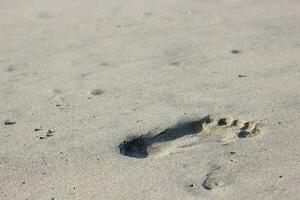 footprints in the beach sand photo