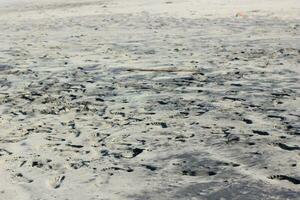 footprints in the beach sand photo