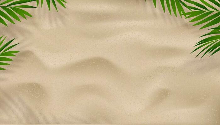 Sand texture background with palm leaves silhouette,Coconut leaf Shadow on Brown Sandy Beach,Vector top view Sand Surface,Backdrop background Wide Horizon Desert dune for Summer Product Presentation