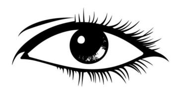 visión soltado descubrir el seductor ojo icono para tu creativo visión vector
