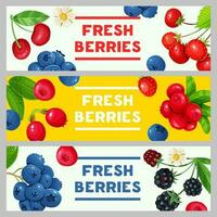 Set of three horizontal banners with colorful berries. vector