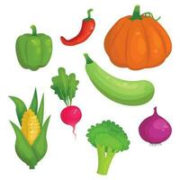 Set of cartoon vegetables. Corn, zucchini, pumpkin, radish, broccoli, onion, pepper, chili. Vector graphic.