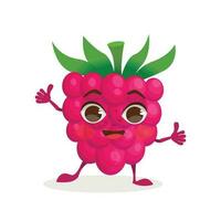 Berry cartoon character - Raspberry. Berries with face, arms and legs. Vector graphic.