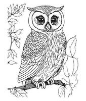 Owl coloring page. Cute Owl coloring page for kids and adults. mid content coloring page for amazon KDP. Coloring page of Owl. Wild life coloring page vector