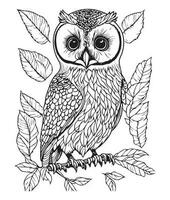 Owl coloring page. Cute Owl coloring page for kids and adults. mid content coloring page for amazon KDP. Coloring page of Owl. Wild life coloring page vector