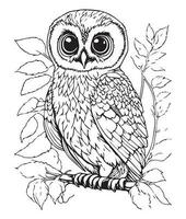 Owl coloring page. Cute Owl coloring page for kids and adults. mid content coloring page for amazon KDP. Coloring page of Owl. Wild life coloring page vector