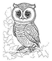 Owl coloring page. Cute Owl coloring page for kids and adults. mid content coloring page for amazon KDP. Coloring page of Owl. Wild life coloring page vector