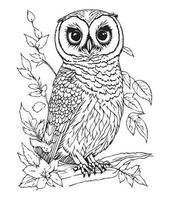 Owl coloring page. Cute Owl coloring page for kids and adults. mid content coloring page for amazon KDP. Coloring page of Owl. Wild life coloring page vector