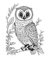 Owl coloring page. Cute Owl coloring page for kids and adults. mid content coloring page for amazon KDP. Coloring page of Owl. Wild life coloring page vector