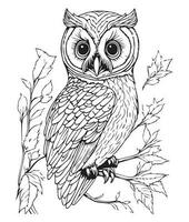 Owl coloring page. Cute Owl coloring page for kids and adults. mid content coloring page for amazon KDP. Coloring page of Owl. Wild life coloring page vector