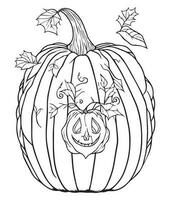 Víspera de Todos los Santos calabaza colorante paginas vegetal colorante página. calabaza línea Arte. vegetal línea Arte vector