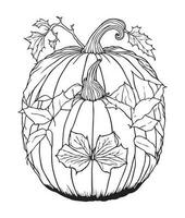 Víspera de Todos los Santos calabaza colorante paginas vegetal colorante página. calabaza línea Arte. vegetal línea Arte vector