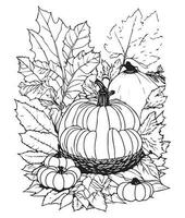 Víspera de Todos los Santos calabaza colorante paginas vegetal colorante página. calabaza línea Arte. vegetal línea Arte vector