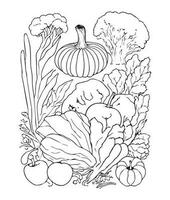 Halloween Pumpkin Coloring Pages.  vegetable coloring page. pumpkin line art. vegetable line art vector