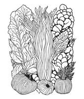 Víspera de Todos los Santos calabaza colorante paginas vegetal colorante página. calabaza línea Arte. vegetal línea Arte vector